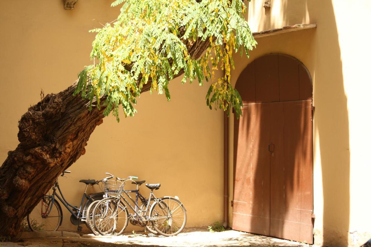 Acacia Firenze - Primula Leilighet Rom bilde